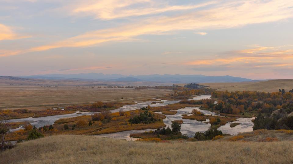 What’s Your Madison? How Nature Heals in ‘The Madison’ 