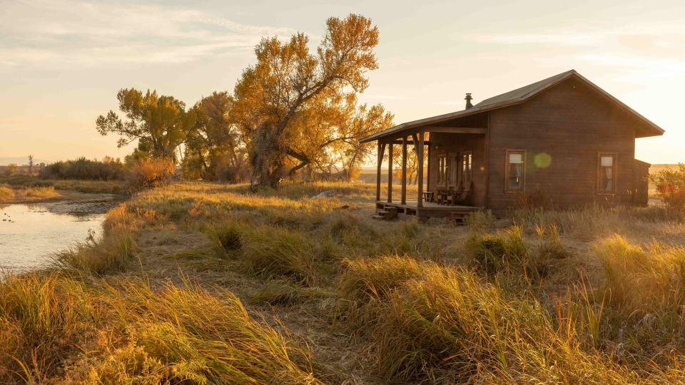 What’s Your Madison? How Nature Heals in ‘The Madison’ 