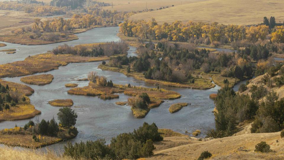 What’s Your Madison? How Nature Heals in ‘The Madison’ 