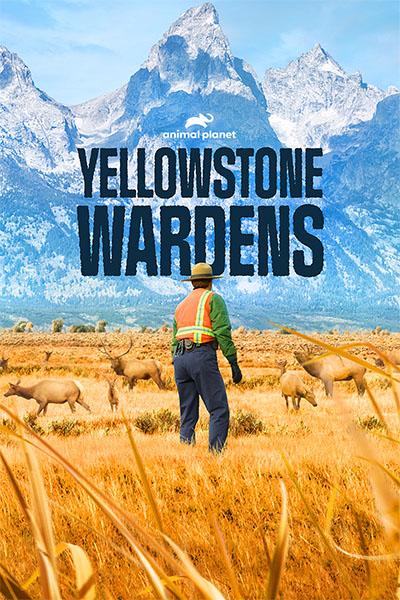 YELLOWSTONE WARDENS