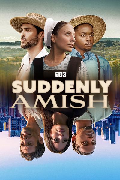 SUDDENLY AMISH